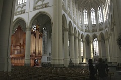 Cathedral Organ