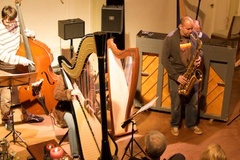 Jazz Harp Festival & Academy
